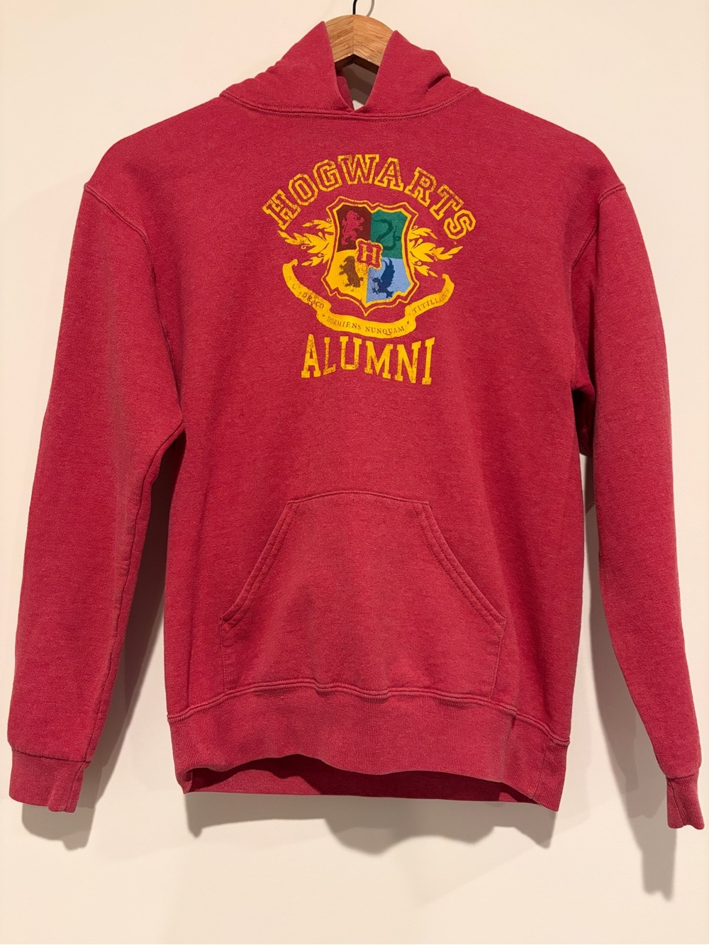 Harry Potter Size L Red Kids Hogwarts Alumni Graphic Fleece Pullover Hoodie